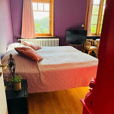 Ruime Slaapkamers Met Badkamers In Belle Epoquevilla- Concessiewijk