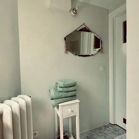 Ruime Slaapkamers Met Badkamers In Belle Epoquevilla- Concessiewijk