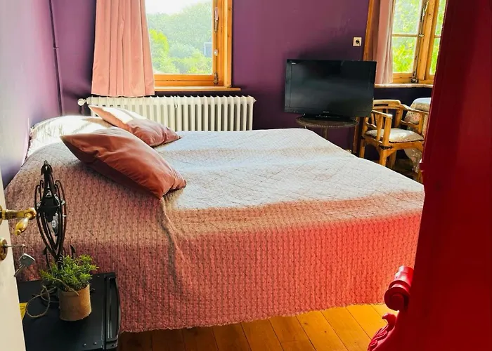 Ruime Slaapkamers Met Badkamers In Belle Epoquevilla- Concessiewijk