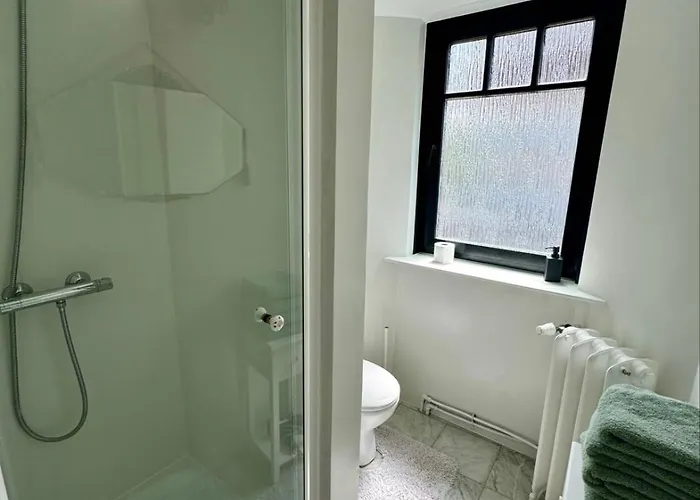 Guest house Ruime Slaapkamers Met Badkamers In Belle Epoquevilla- Concessiewijk